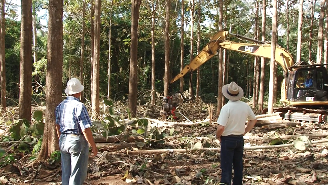 A EVOLUÇÃO DE MÁQUINAS NA COLHEITA FLORESTAL